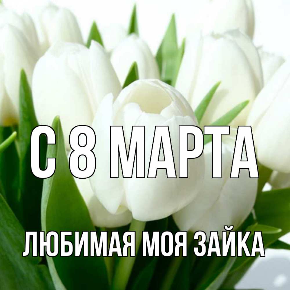Открытка на каждый день с именем, Любимая-моя-зайка С 8 МАРТА цветы Прикольная открытка с пожеланием онлайн скачать бесплатно 
