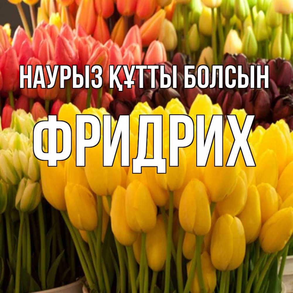 Открытка на каждый день с именем, Фридрих Наурыз құтты болсын цветы Прикольная открытка с пожеланием онлайн скачать бесплатно 