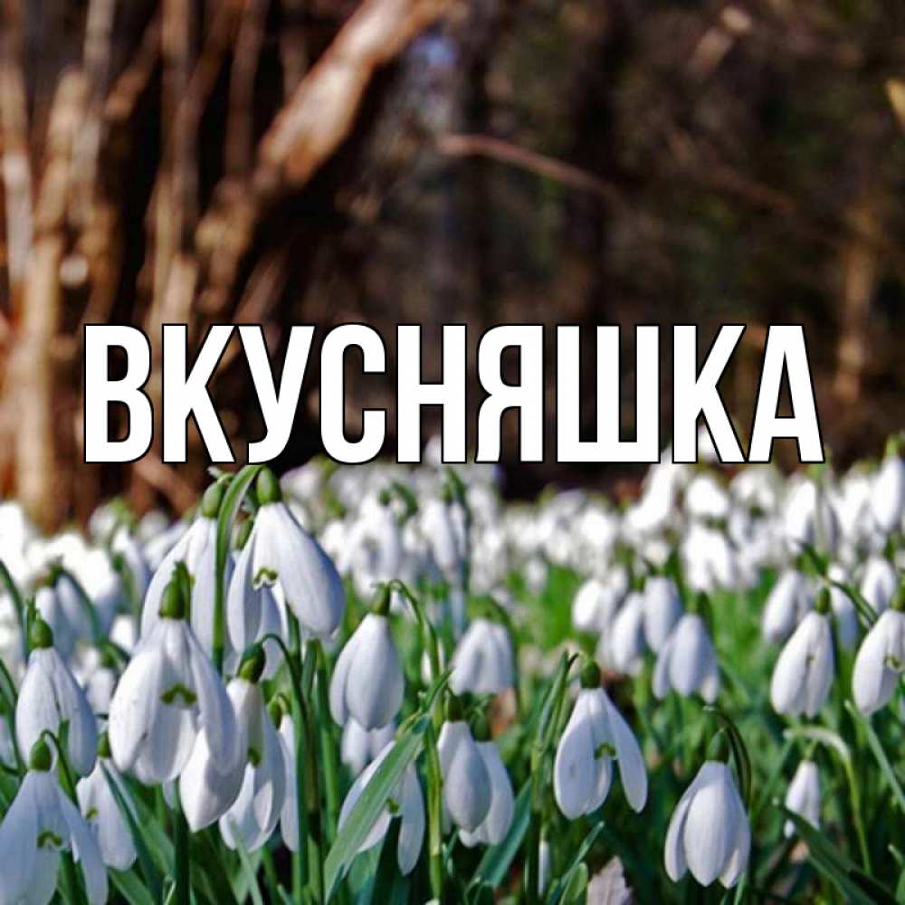 Открытка на каждый день с именем, Вкусняшка Главная с подснежниками 1 Прикольная открытка с пожеланием онлайн скачать бесплатно 