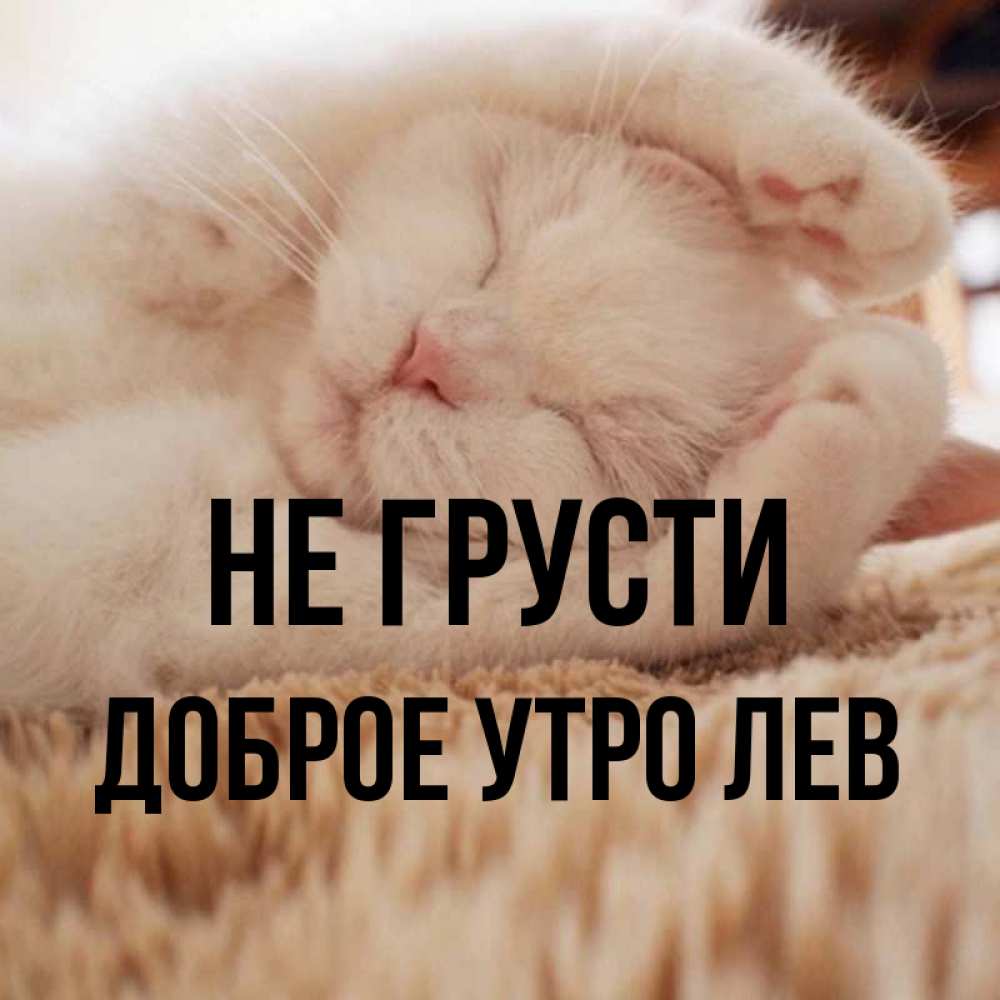 Милые Картинки Не Грусти