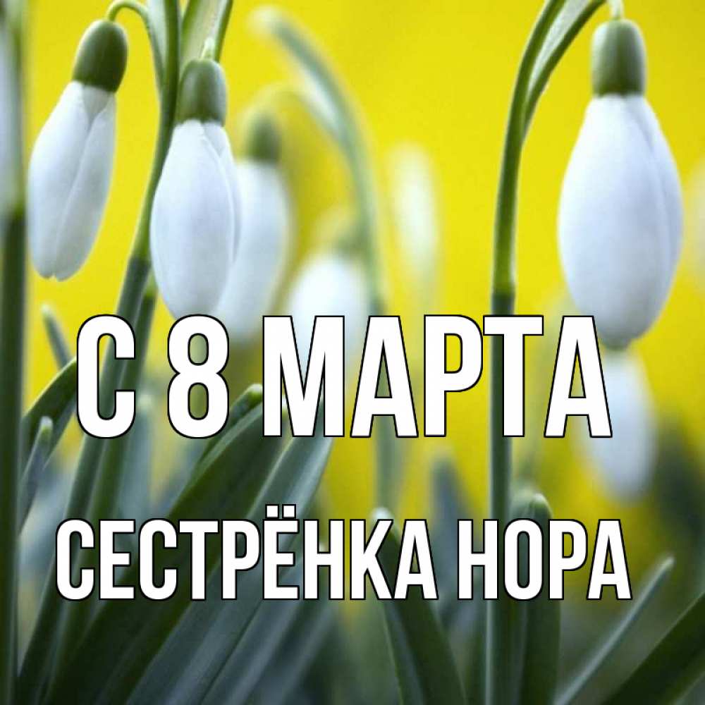 Открытка на каждый день с именем, Сестрёнка-Нора С 8 МАРТА весенние цветы Прикольная открытка с пожеланием онлайн скачать бесплатно 