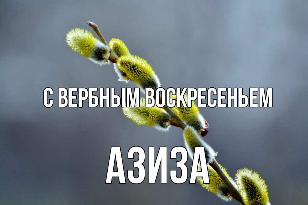 Открытка на каждый день с именем, Азиза С вербным воскресеньем верба Прикольная открытка с пожеланием онлайн скачать бесплатно 