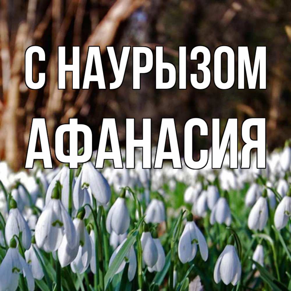 Открытка на каждый день с именем, Афанасия С наурызом с подснежниками 1 Прикольная открытка с пожеланием онлайн скачать бесплатно 