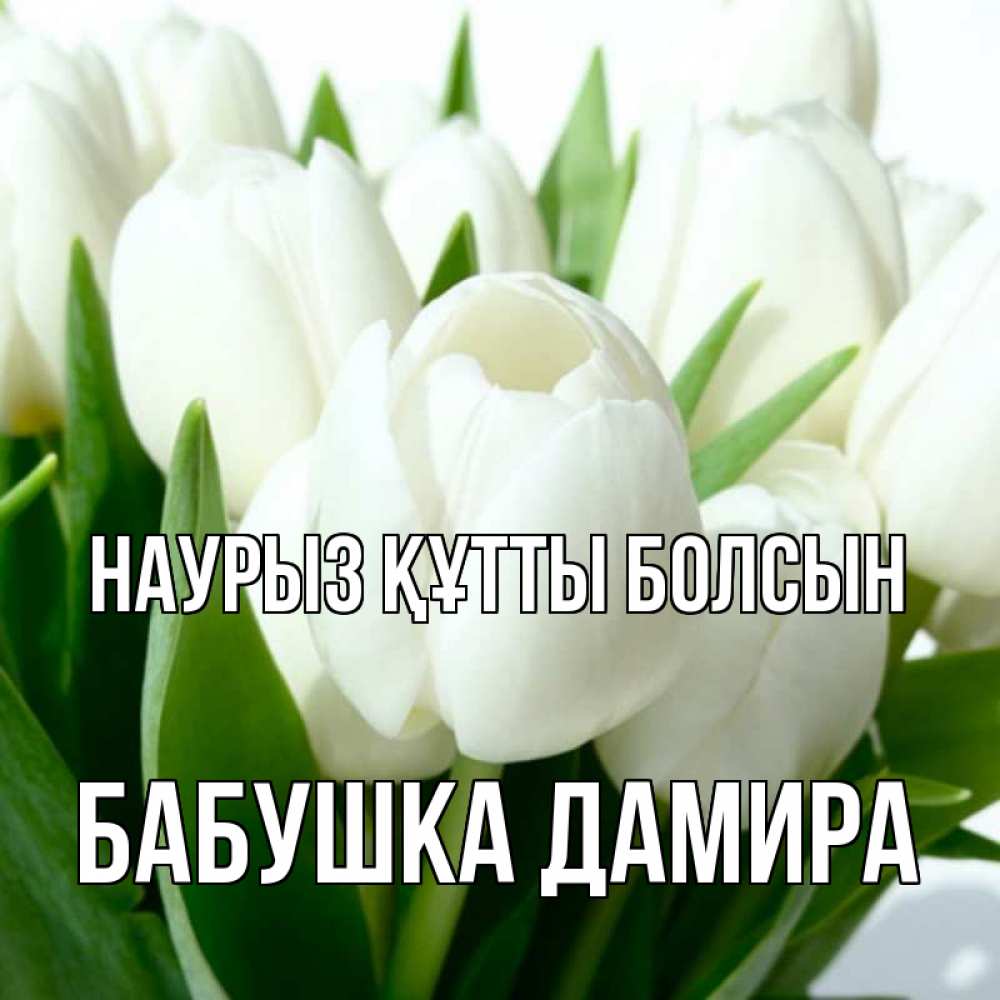 Открытка на каждый день с именем, Бабушка-Дамира Наурыз құтты болсын цветы Прикольная открытка с пожеланием онлайн скачать бесплатно 