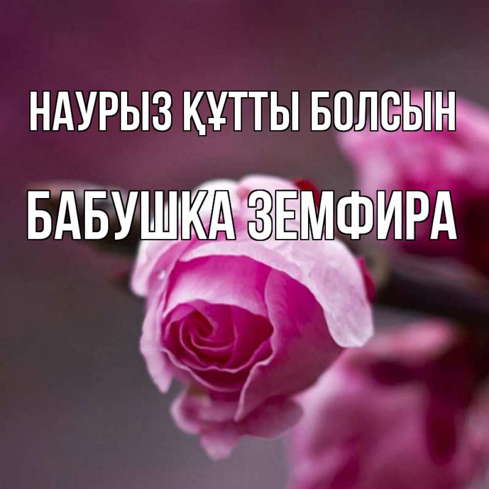 Открытка на каждый день с именем, Бабушка-Земфира Наурыз құтты болсын весна Прикольная открытка с пожеланием онлайн скачать бесплатно 