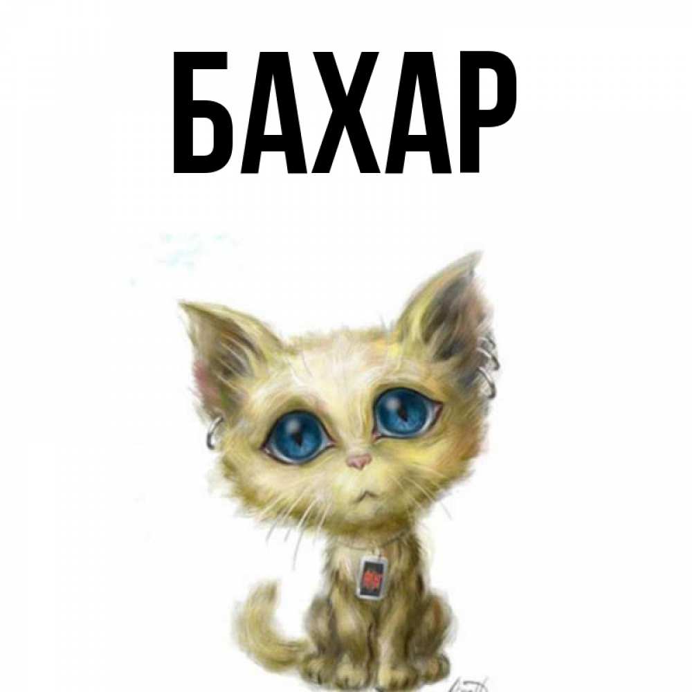 Открытка на каждый день с именем, Бахар Главная рисованный кот благодарит вас Прикольная открытка с пожеланием онлайн скачать бесплатно 