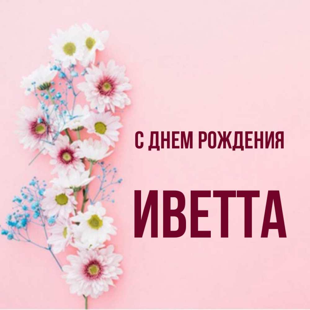 Открытка на каждый день с именем, Иветта С днем рождения Родная моя с днем рождения тебя картинка с цветами белыми и голубыми Прикольная открытка с пожеланием онлайн скачать бесплатно 
