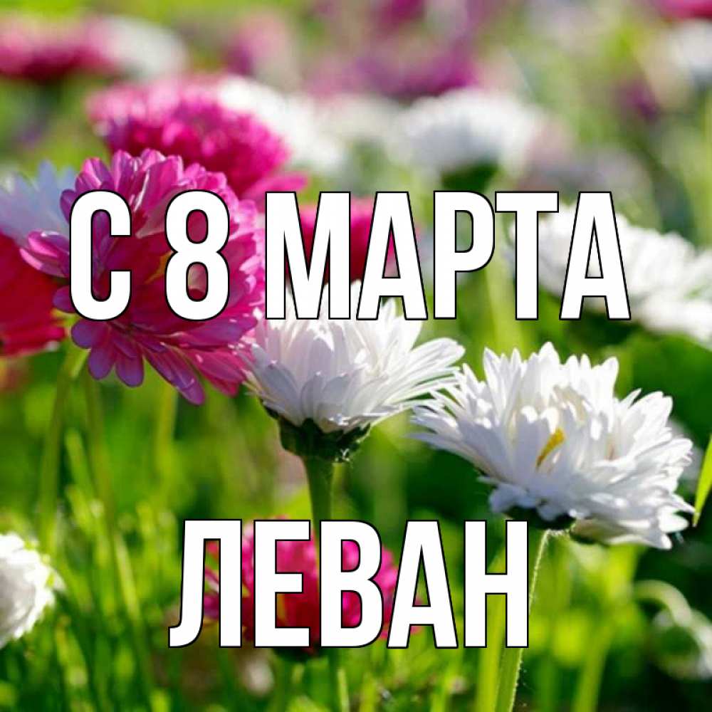 Открытка на каждый день с именем, Леван С 8 МАРТА международный женский день 1 Прикольная открытка с пожеланием онлайн скачать бесплатно 