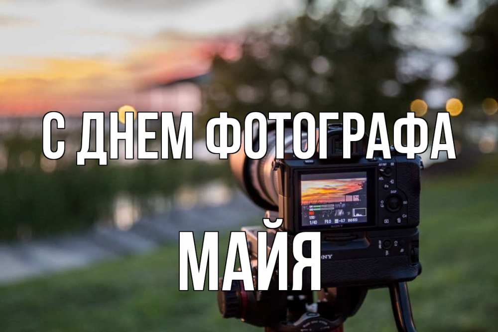 Открытка на каждый день с именем, Майя С днем фотографа с днем фотографа Прикольная открытка с пожеланием онлайн скачать бесплатно 