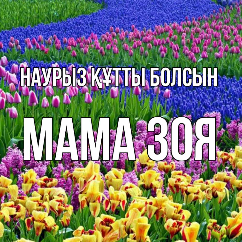 Открытка на каждый день с именем, Мама-Зоя Наурыз құтты болсын цветы Прикольная открытка с пожеланием онлайн скачать бесплатно 