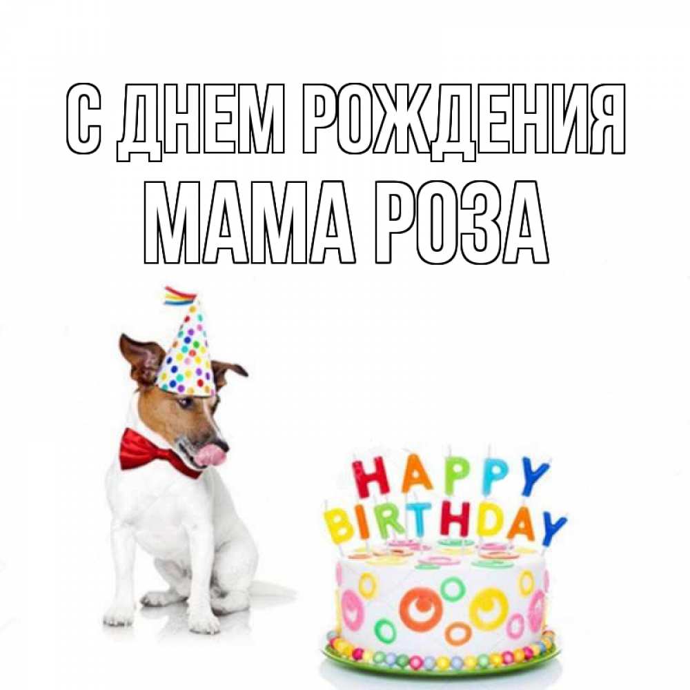 Открытка на каждый день с именем, Мама-Роза С днем рождения праздник Прикольная открытка с пожеланием онлайн скачать бесплатно 
