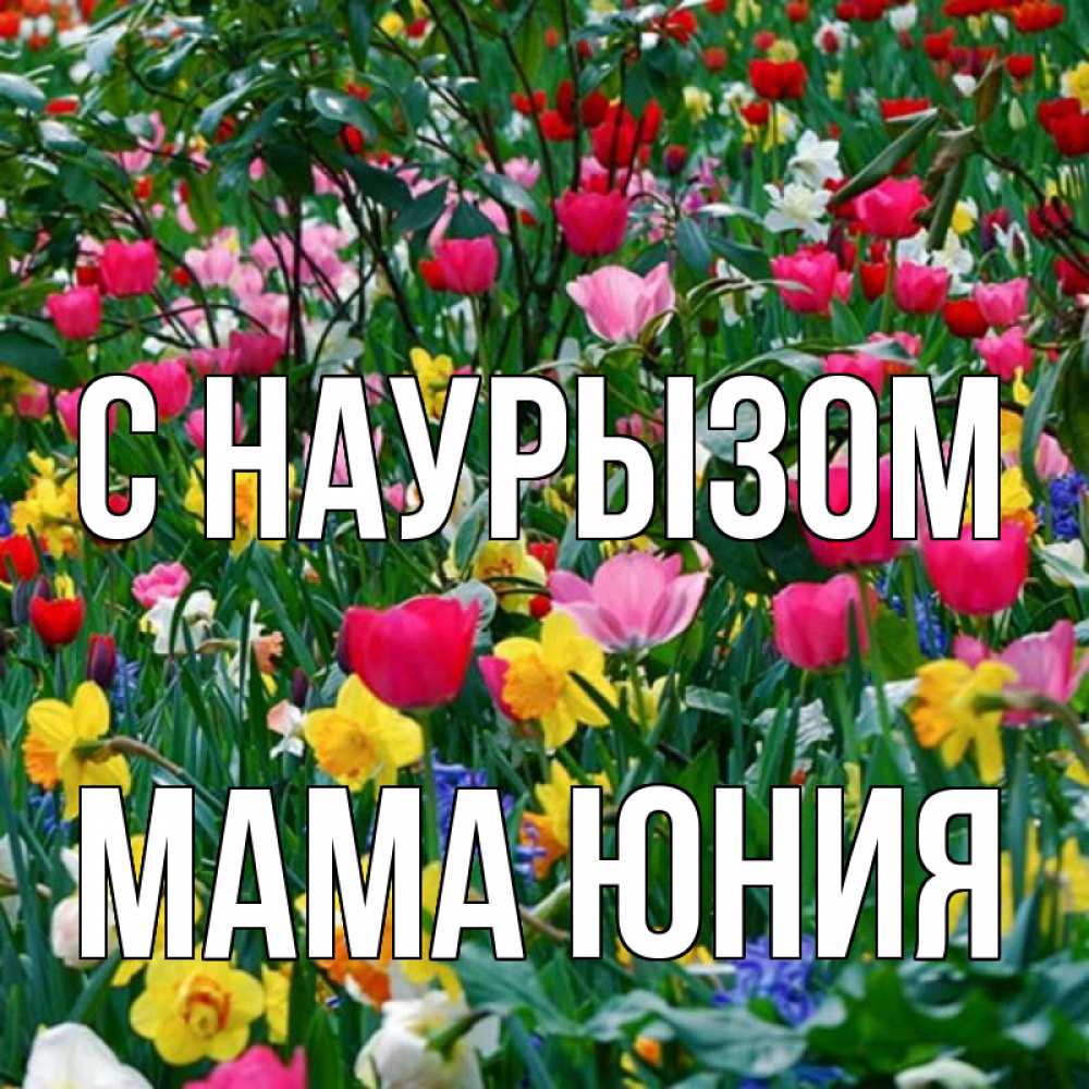 Открытка на каждый день с именем, Мама-Юния С наурызом с наурызом праздником весны поздравления для женщины Прикольная открытка с пожеланием онлайн скачать бесплатно 