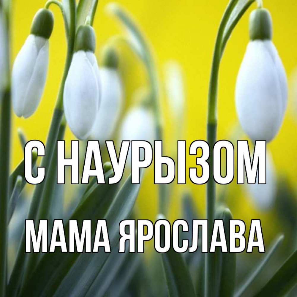 Открытка на каждый день с именем, Мама-Ярослава С наурызом весенние цветы Прикольная открытка с пожеланием онлайн скачать бесплатно 