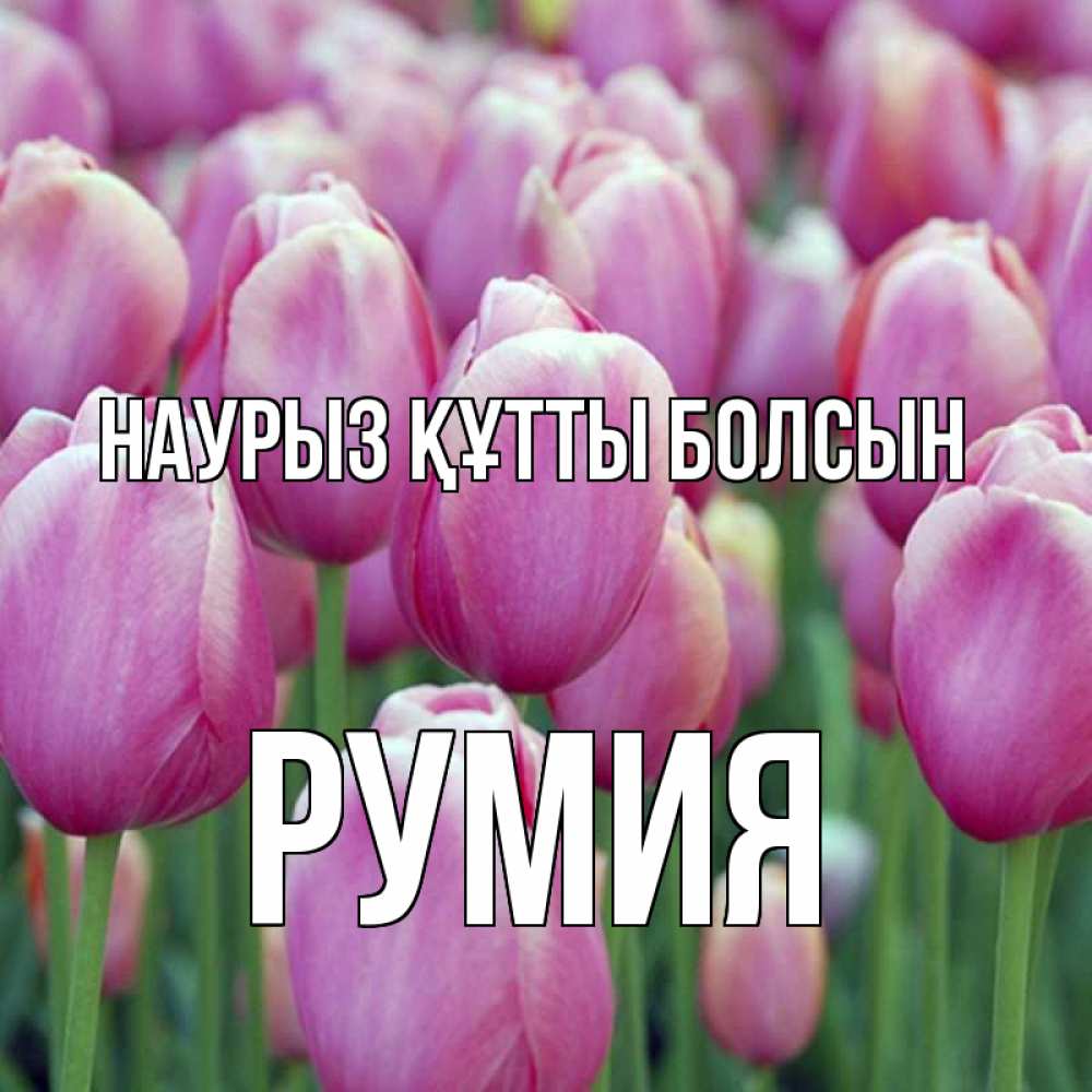 Открытка на каждый день с именем, Румия Наурыз құтты болсын на наурыз  день 3 Прикольная открытка с пожеланием онлайн скачать бесплатно 
