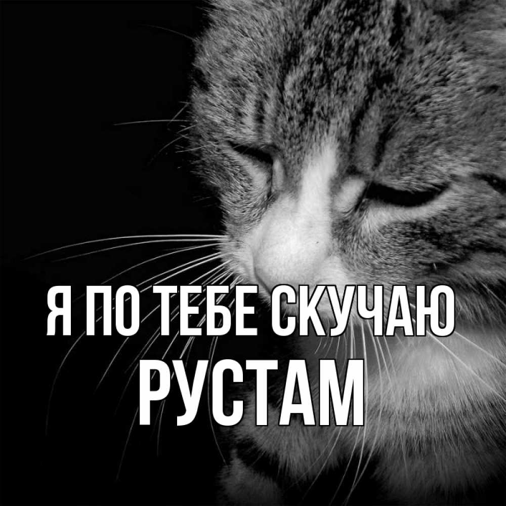 Открытка на каждый день с именем, Рустам Я по тебе скучаю мне скучно Прикольная открытка с пожеланием онлайн скачать бесплатно 