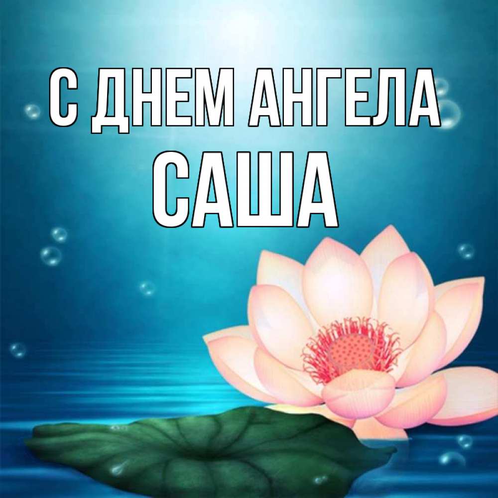 Открытка на каждый день с именем, Саша С днем ангела кувшинка Прикольная открытка с пожеланием онлайн скачать бесплатно 