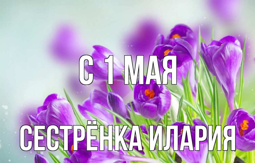 Открытка на каждый день с именем, Сестрёнка-Илария С 1 мая 1 мая Прикольная открытка с пожеланием онлайн скачать бесплатно 