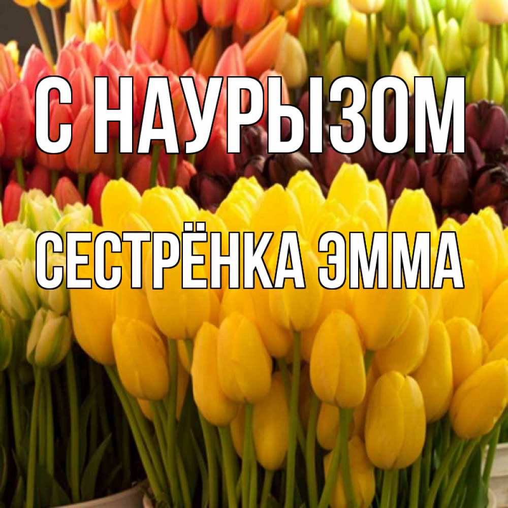 Открытка на каждый день с именем, Сестрёнка-Эмма С наурызом цветы Прикольная открытка с пожеланием онлайн скачать бесплатно 