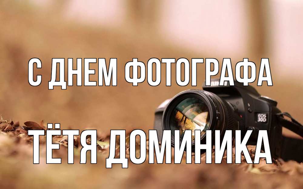 Открытка на каждый день с именем, Тётя-Доминика С днем фотографа с днем фотографа Прикольная открытка с пожеланием онлайн скачать бесплатно 