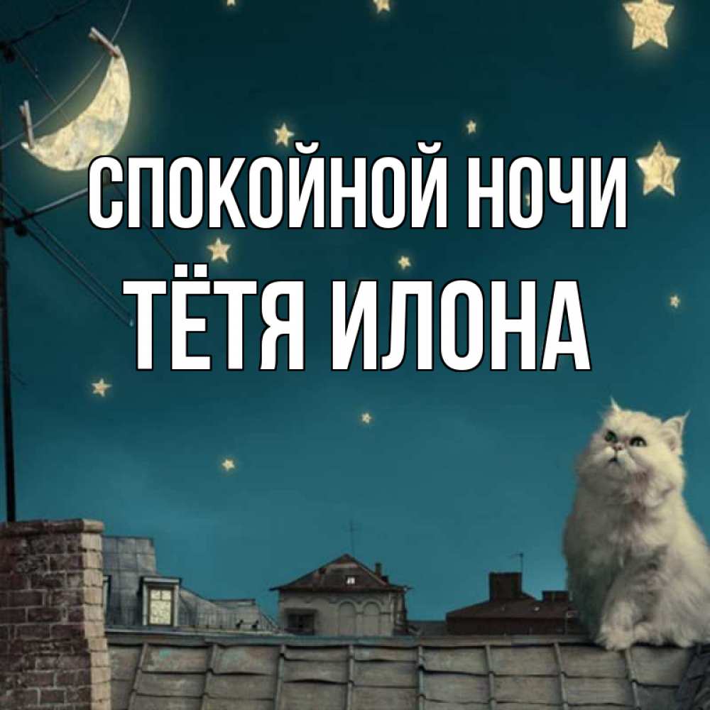Открытка на каждый день с именем, Тётя-Илона Спокойной ночи белый кот сидит на крыше Прикольная открытка с пожеланием онлайн скачать бесплатно 