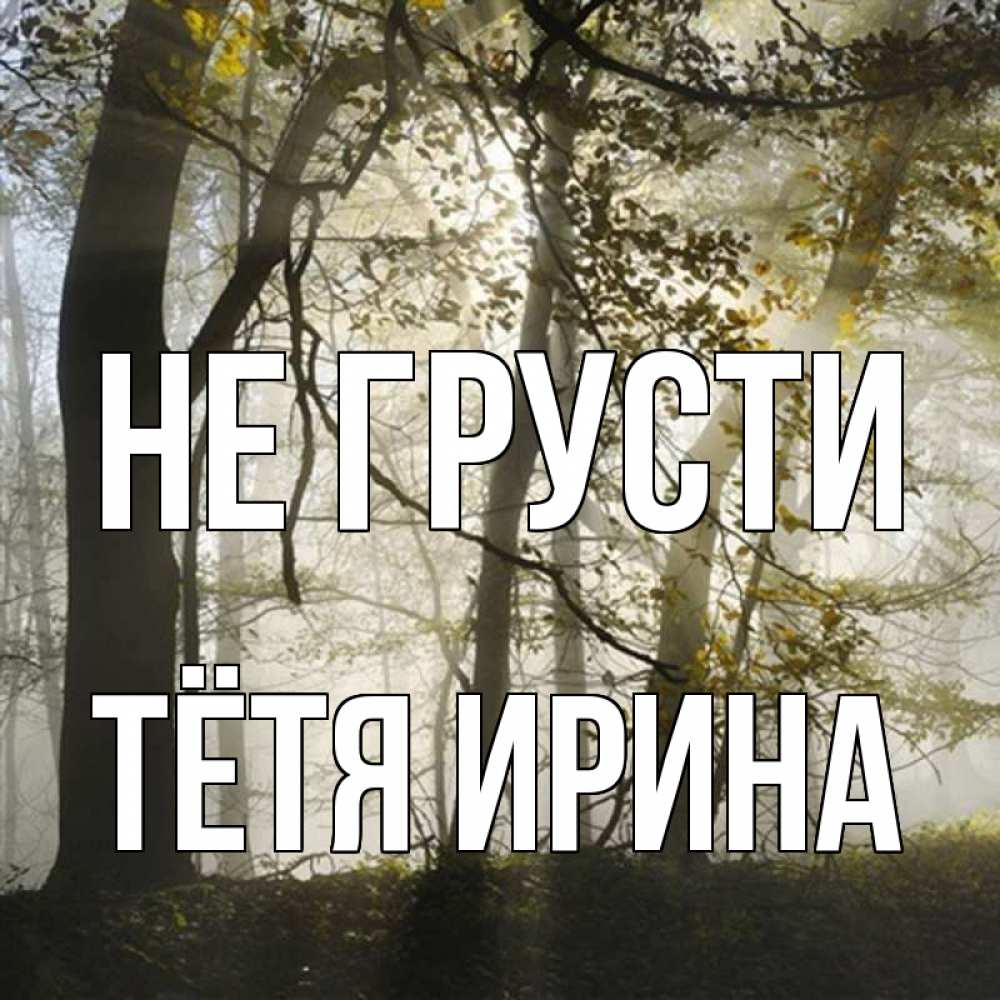 Открытка на каждый день с именем, Тётя-Ирина Не грусти лес и свет Прикольная открытка с пожеланием онлайн скачать бесплатно 