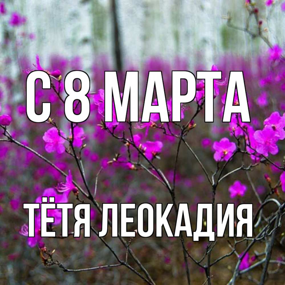 Открытка на каждый день с именем, Тётя-Леокадия С 8 МАРТА дикие цветы Прикольная открытка с пожеланием онлайн скачать бесплатно 