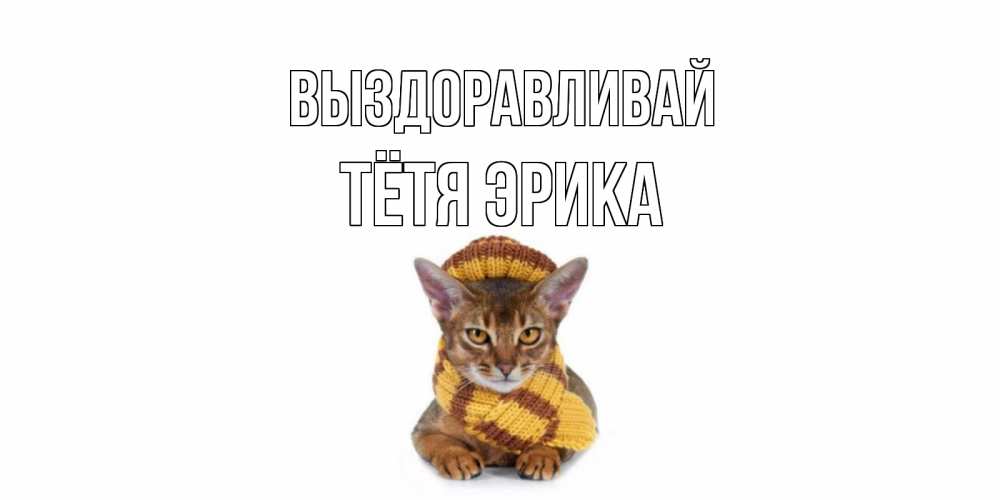 Открытка на каждый день с именем, Тётя-Эрика Выздоравливай родные не болейте Прикольная открытка с пожеланием онлайн скачать бесплатно 