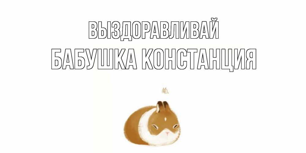 Открытка на каждый день с именем, Бабушка-Констанция Выздоравливай морская свинка на открытке с пожеланиями не болеть Прикольная открытка с пожеланием онлайн скачать бесплатно 