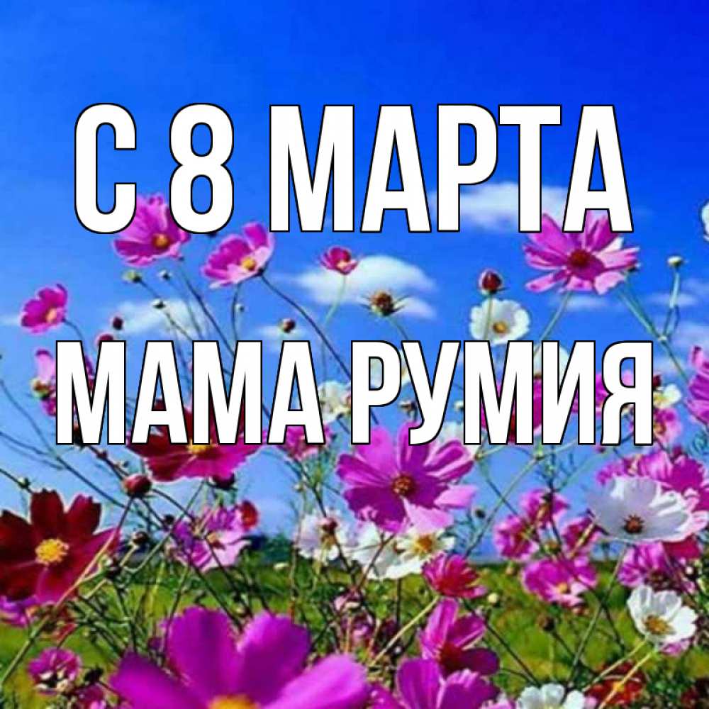 Открытка на каждый день с именем, Мама-Румия С 8 МАРТА цветы Прикольная открытка с пожеланием онлайн скачать бесплатно 