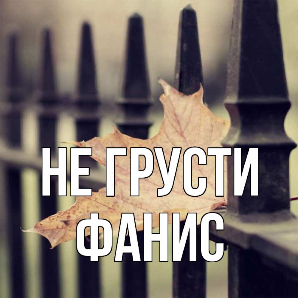 Открытка на каждый день с именем, Фанис Не грусти лист клена Прикольная открытка с пожеланием онлайн скачать бесплатно 