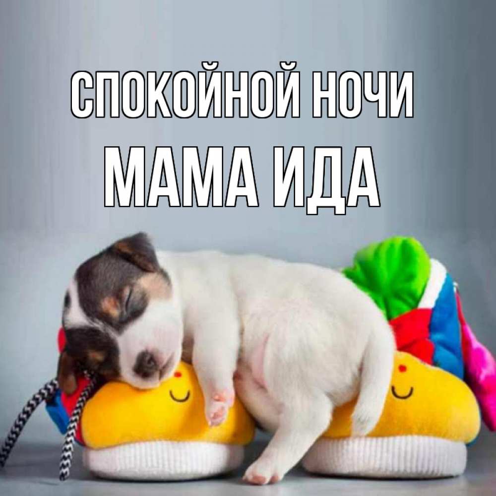 Открытка на каждый день с именем, Мама-Ида Спокойной ночи собачка Прикольная открытка с пожеланием онлайн скачать бесплатно 
