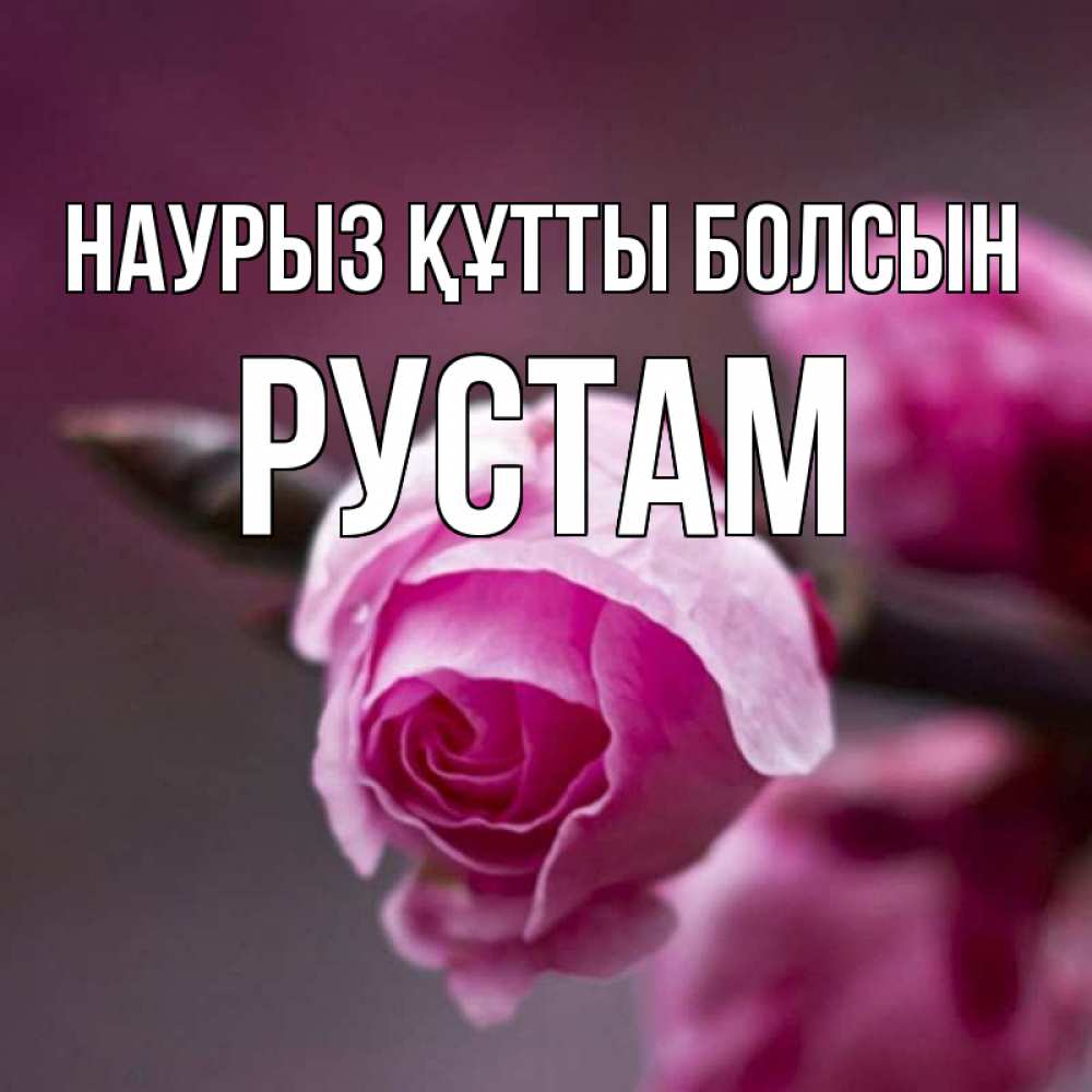 Открытка на каждый день с именем, Рустам Наурыз құтты болсын весна Прикольная открытка с пожеланием онлайн скачать бесплатно 