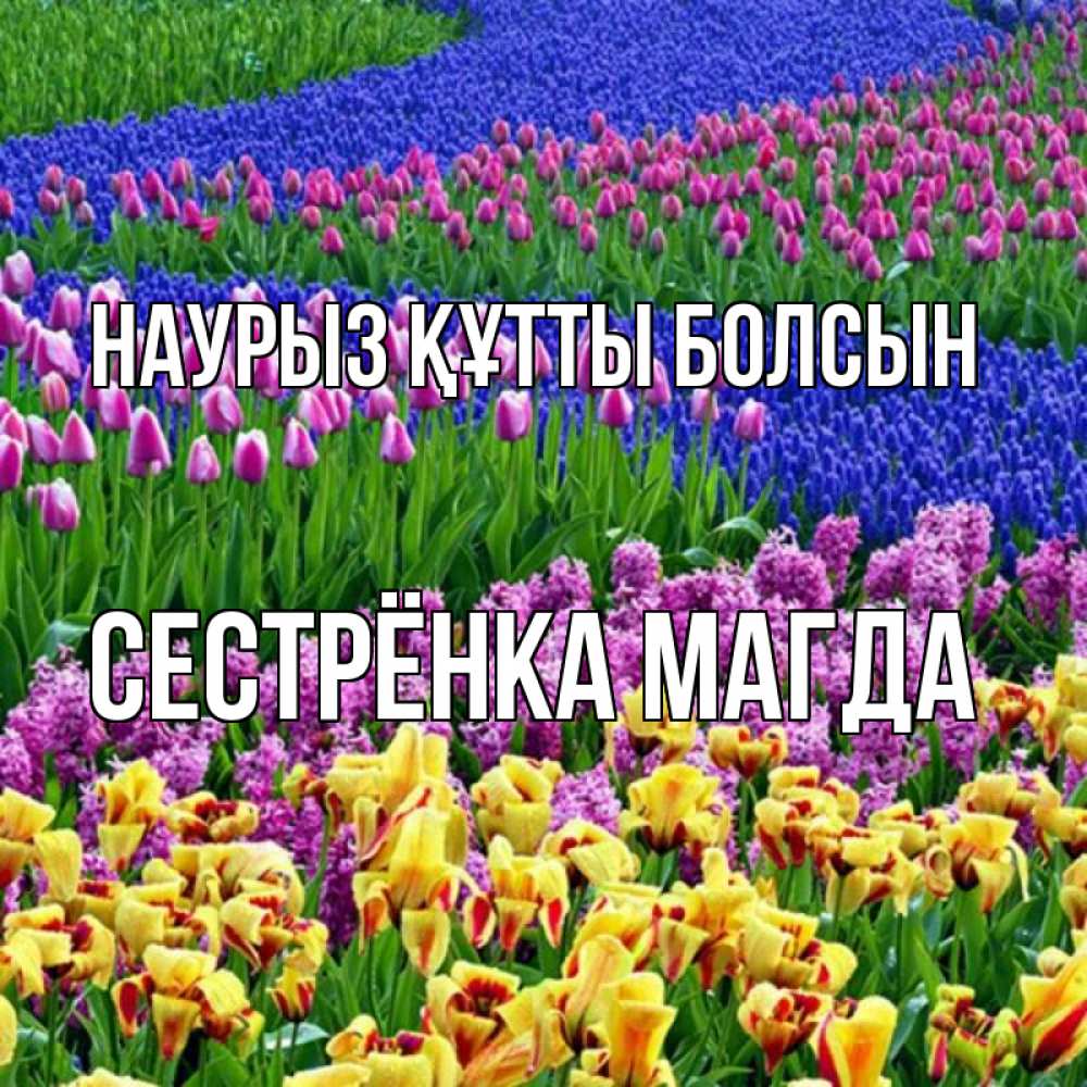 Открытка на каждый день с именем, Сестрёнка-Магда Наурыз құтты болсын цветы Прикольная открытка с пожеланием онлайн скачать бесплатно 