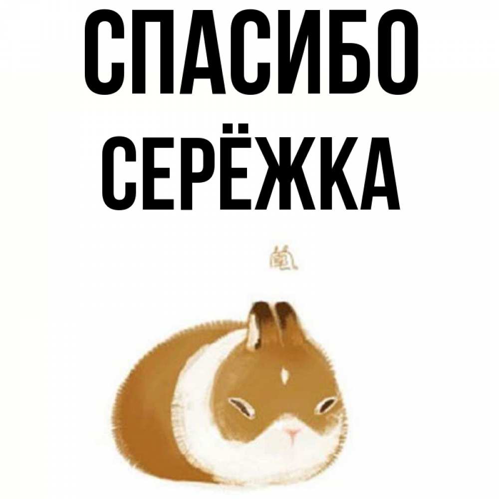 Картинка Спасибо, Серёжка
