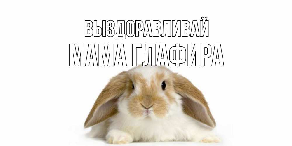 Открытка на каждый день с именем, Мама-Глафира Выздоравливай вислоухий кролик белого и коричневого цвета Прикольная открытка с пожеланием онлайн скачать бесплатно 