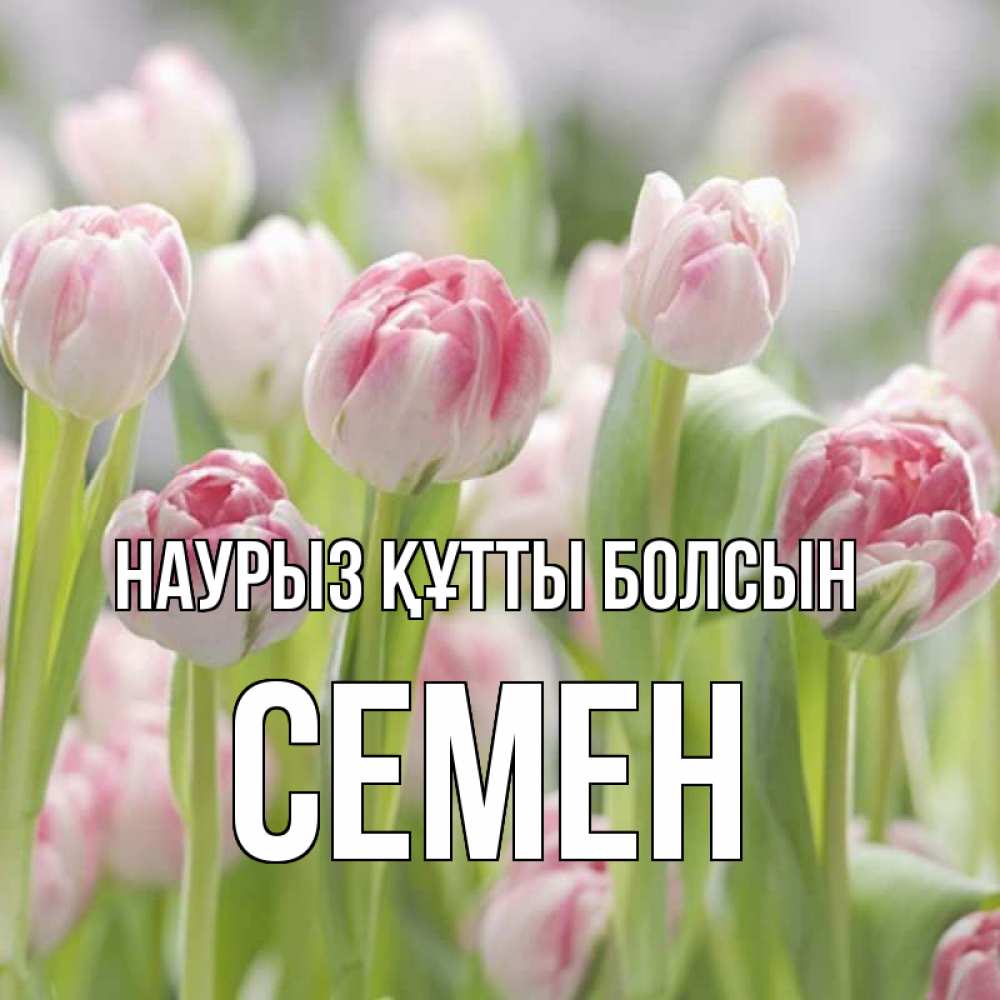 Открытка на каждый день с именем, Семен Наурыз құтты болсын цветы Прикольная открытка с пожеланием онлайн скачать бесплатно 