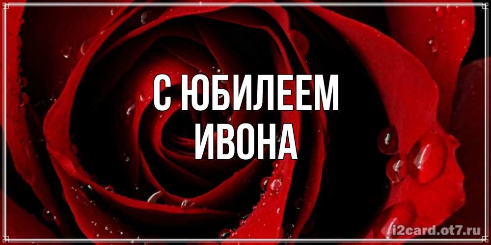 Открытка на каждый день с именем, Ивона С юбилеем крупная бордовая роза Прикольная открытка с пожеланием онлайн скачать бесплатно 