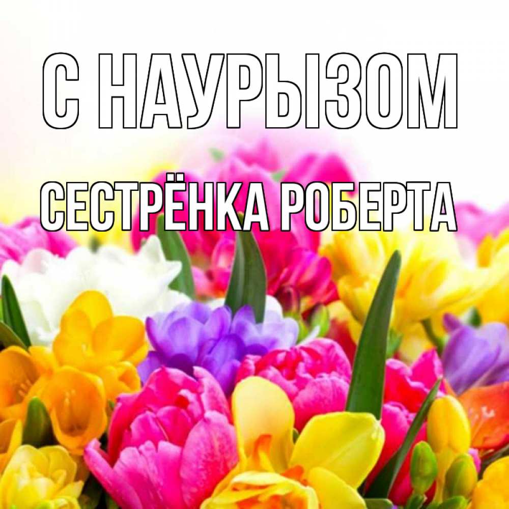 Открытка на каждый день с именем, Сестрёнка-Роберта С наурызом тюльпаны Прикольная открытка с пожеланием онлайн скачать бесплатно 