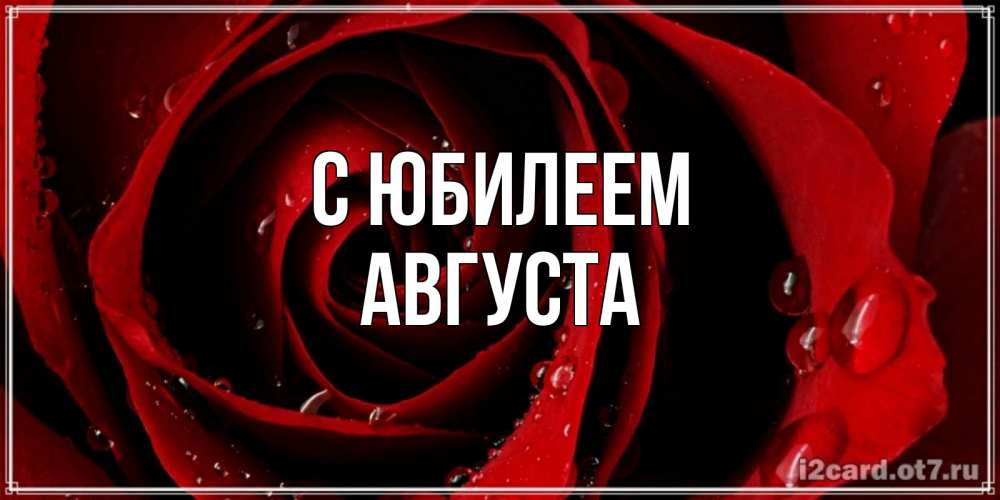 Открытка на каждый день с именем, Августа С юбилеем крупная бордовая роза Прикольная открытка с пожеланием онлайн скачать бесплатно 