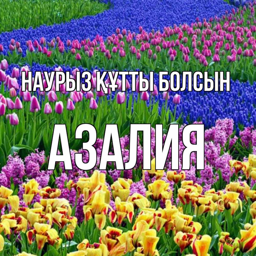 Открытка на каждый день с именем, Азалия Наурыз құтты болсын цветы Прикольная открытка с пожеланием онлайн скачать бесплатно 