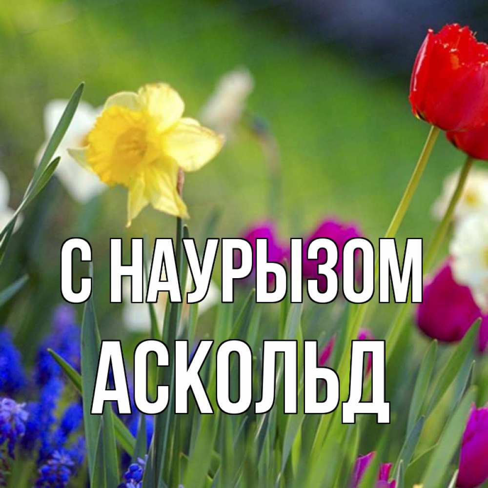 Открытка на каждый день с именем, Аскольд С наурызом праздник весны наурыз 3 Прикольная открытка с пожеланием онлайн скачать бесплатно 