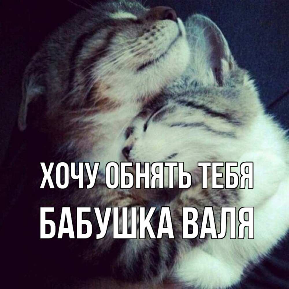 Открытка на каждый день с именем, Бабушка-Валя Хочу обнять тебя полосатики Прикольная открытка с пожеланием онлайн скачать бесплатно 