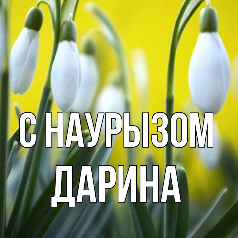 Открытка на каждый день с именем, Дарина С наурызом весенние цветы Прикольная открытка с пожеланием онлайн скачать бесплатно 
