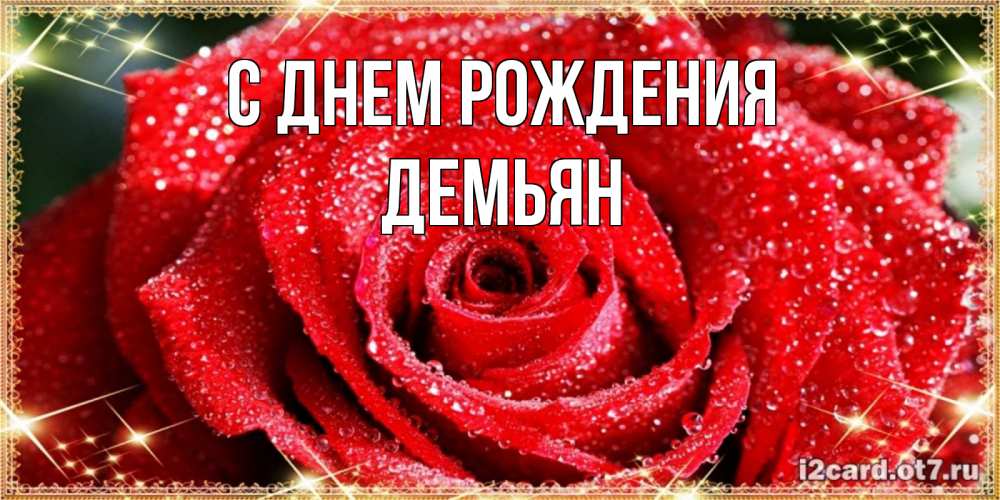 Открытка на каждый день с именем, Демьян С днем рождения роса и роза. открытка с красивой розой Прикольная открытка с пожеланием онлайн скачать бесплатно 