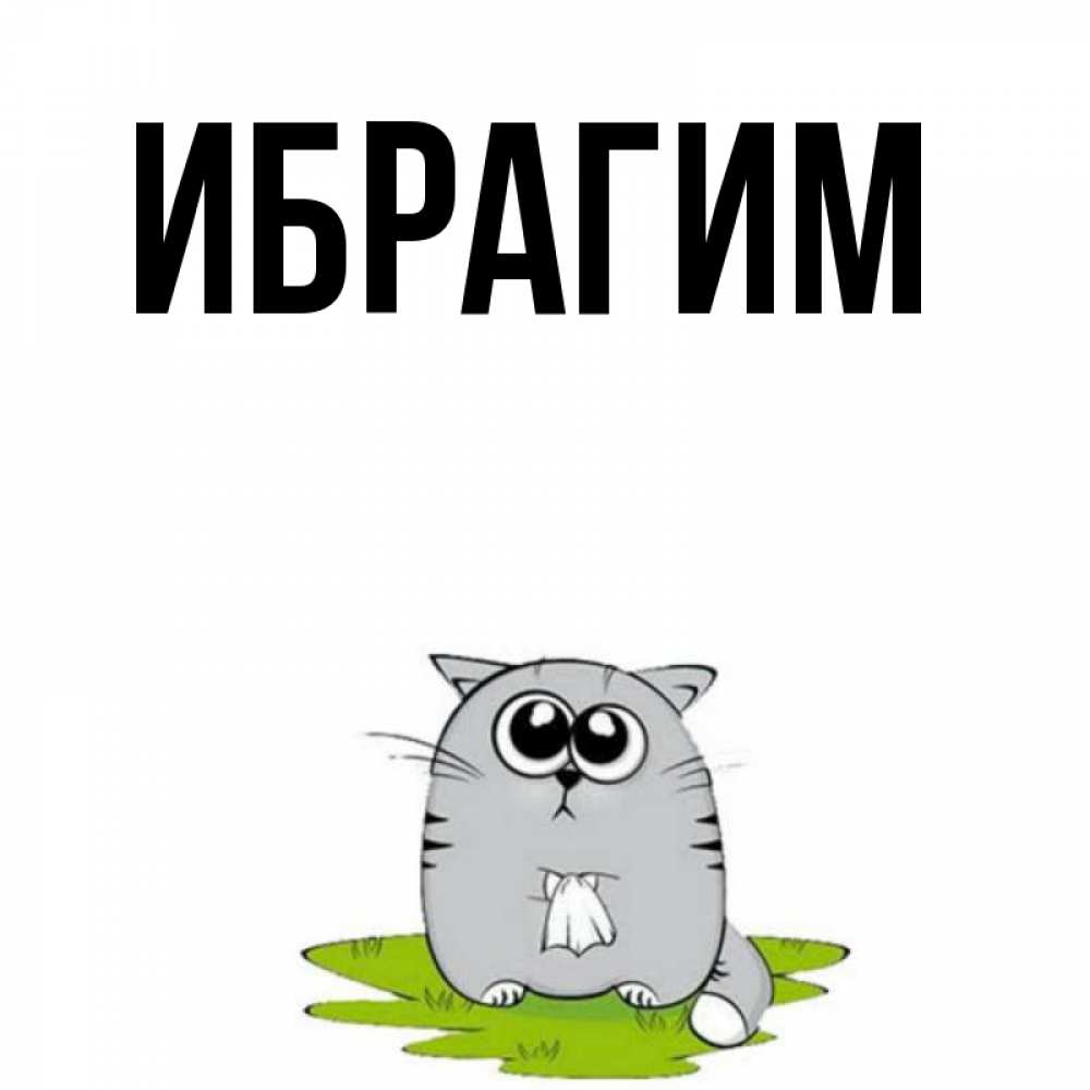 Открытка на каждый день с именем, Ибрагим Главная котик теребит платочек сидя на травке Прикольная открытка с пожеланием онлайн скачать бесплатно 