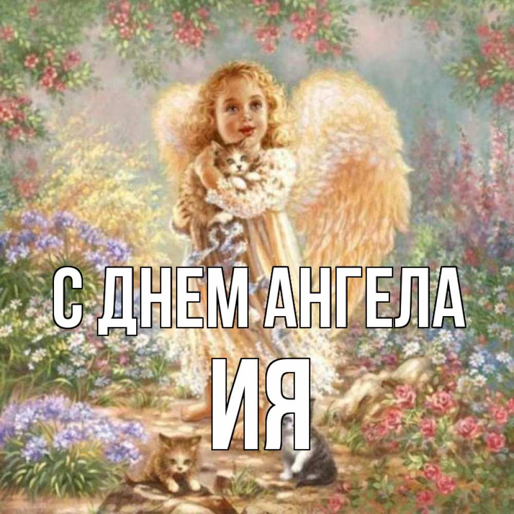 Открытка на каждый день с именем, Ия С днем ангела держит котенка Прикольная открытка с пожеланием онлайн скачать бесплатно 