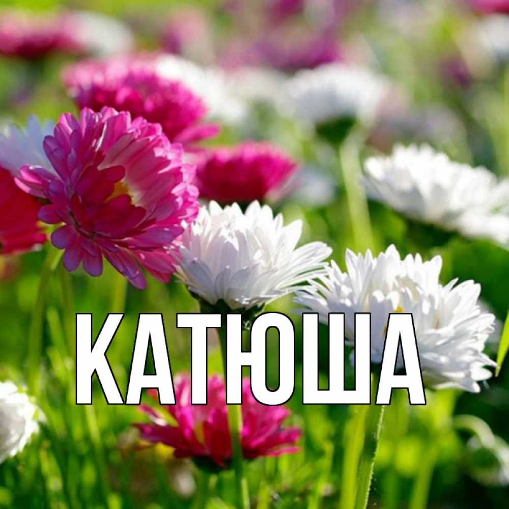 Открытка на каждый день с именем, Катюша Главная международный женский день 1 Прикольная открытка с пожеланием онлайн скачать бесплатно 