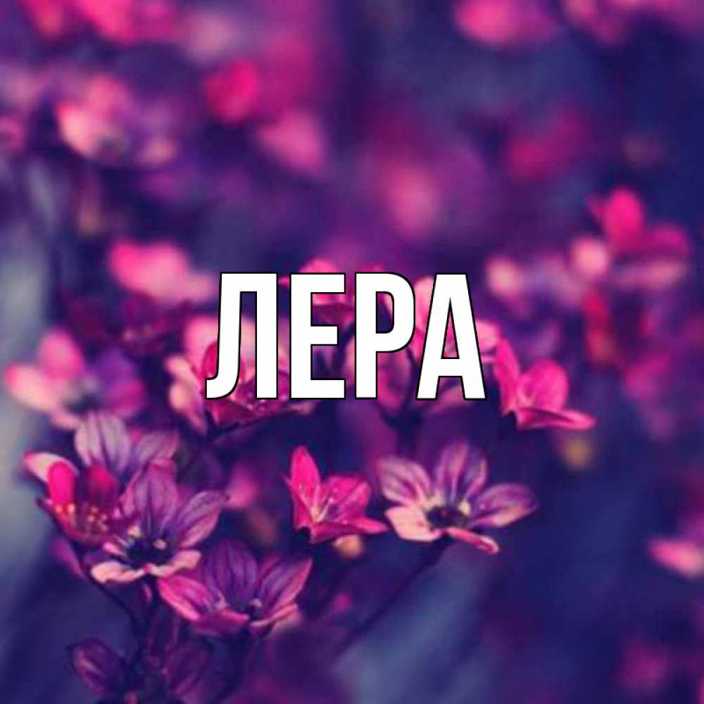 Открытка на каждый день с именем, Лера Главная небольшие цветы 1 Прикольная открытка с пожеланием онлайн скачать бесплатно 
