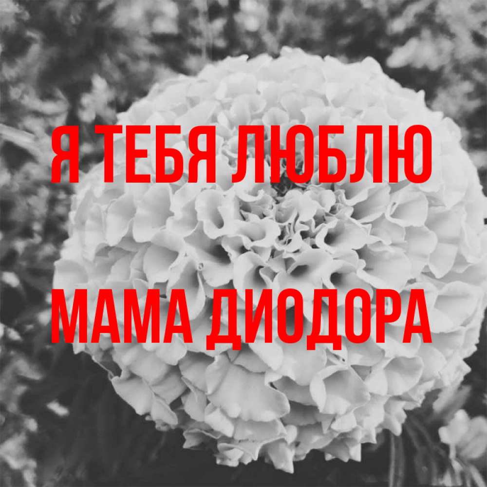 Открытка на каждый день с именем, Мама-Диодора Я тебя люблю подпись Прикольная открытка с пожеланием онлайн скачать бесплатно 