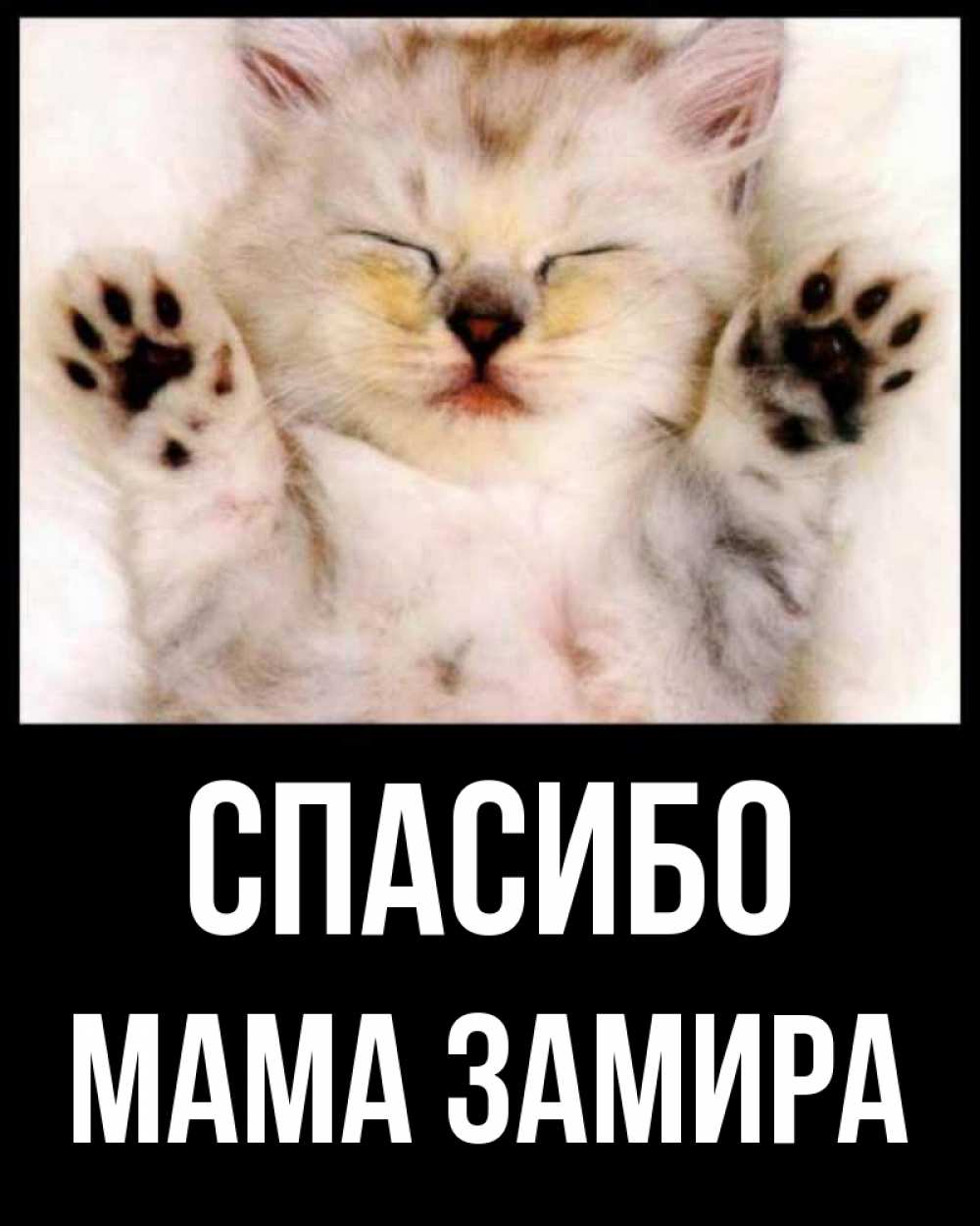 Открытка на каждый день с именем, Мама-Замира Спасибо маленький котенок Прикольная открытка с пожеланием онлайн скачать бесплатно 